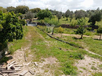 /international/pt/urra-portalegre-portalegre-310099652983/?lang=en