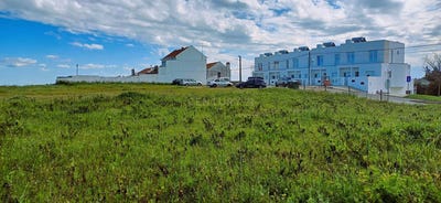 /international/pt/santiago-do-cacem-setubal-municipality-310100671076/