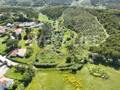 /international/pt/malveira-e-sao-miguel-de-alcainca-lisbon-310100823553/