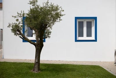 /international/pt/mafra-lisbon-310108762676/