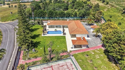 /international/pt/gaeiras-leiria-310108943391/?lang=de