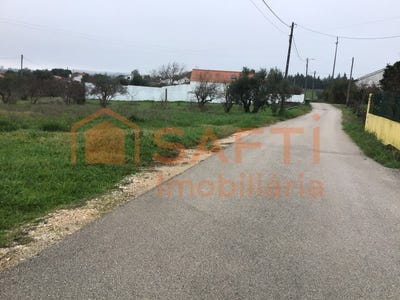 /international/pt/paialvo-santarem-310100484585/