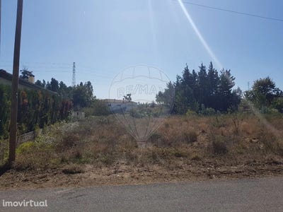 /international/pt/barro-lisbon-310102341331/