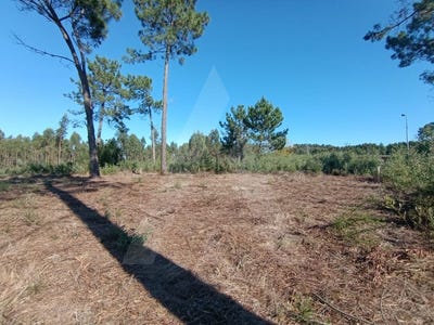 /international/pt/sao-salvador-porto-310100275067/