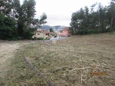 /international/pt/cesar-oliveira-de-azemeis-aveiro-310105406924/