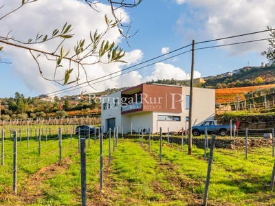 /international/pt/santa-leocadia-viseu-310108650127/