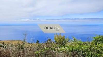 /international/pt/prazeres-madeira-120093574617/