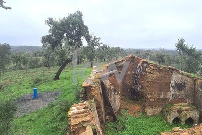 /international/pt/santiago-do-cacem-snta-cruz-setubal-municipality-120093121744/