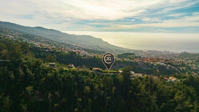 /international/pt/vasco-gil-ilha-da-madeira-madeira-310109072446/?lang=th