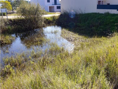 /international/pt/an-aveiro-310104040417/