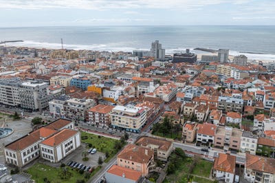 /international/pt/espinho-castelo-branco-310098609788/