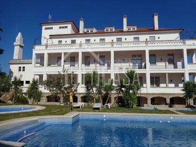 /international/pt/mangualde-viseu-310108459465/