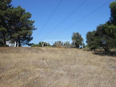 /international/pt/santo-antonio-da-charneca-setubal-municipality-310108321996/