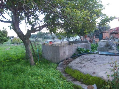 /international/pt/rua-manuel-nunes-da-cruz-sarnadas-de-rodao-castelo-branco-310105249851/