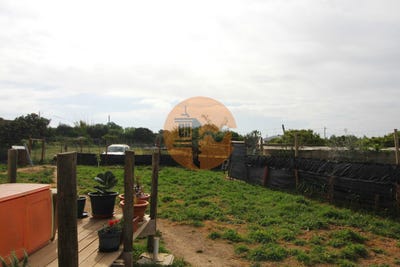 /international/pt/faro-faro-310096377437/