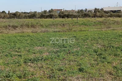 /international/pt/campo-maior-portalegre-310097674485/?lang=en