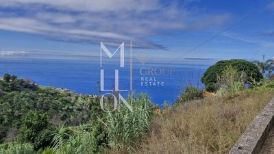 /international/pt/faja-da-ovelha-madeira-310107358231/