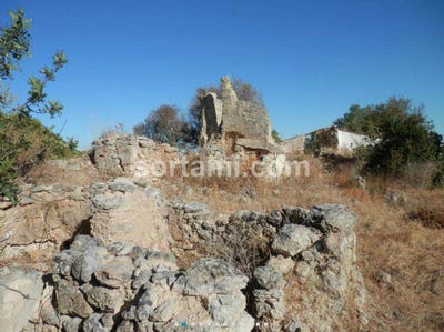 /international/pt/silves-faro-310107214080/