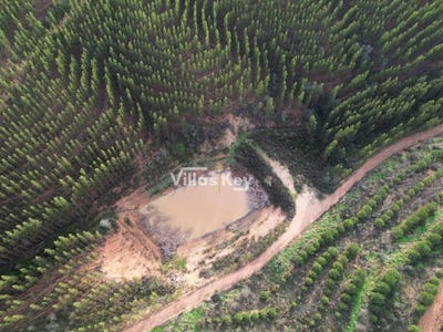 /international/pt/odemira-santa-maria-beja-310104477351/