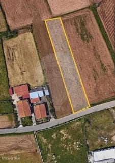 /international/pt/ovar-aveiro-310093921773/