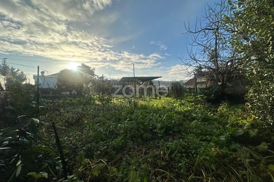 /international/pt/vila-nova-de-famalicao-braga-310104144796/