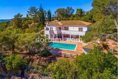 /international/pt/silves-faro-310103997778/