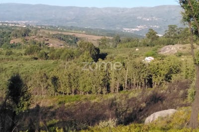 /international/pt/seia-guarda-120086290206/