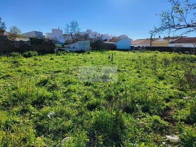 /international/pt/lagos-faro-310100714837/