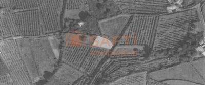 /international/pt/alvaredo-viana-do-castelo-310100485034/