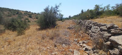 /international/pt/sao-bartolomeu-de-messines-faro-310101325698/?lang=zh-tw