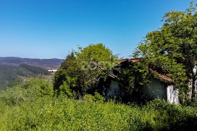 /international/pt/amarante-porto-310100111852/