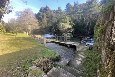 /international/pt/viana-do-castelo-viana-do-castelo-310096508895/