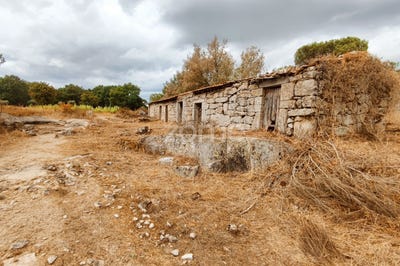/international/pt/carregal-do-sal-viseu-120067375699/