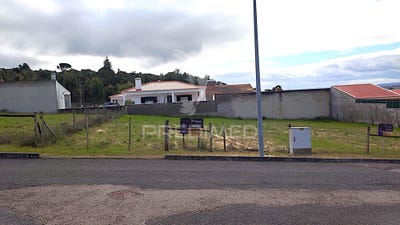 /international/pt/carregueira-chamusca-aveiro-310105907972/