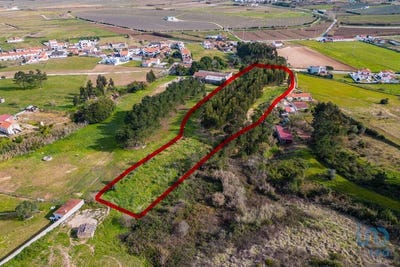 /international/pt/famalicao-leiria-310101188593/?lang=pt