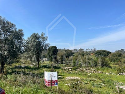 /international/pt/turquel-leiria-310106836736/
