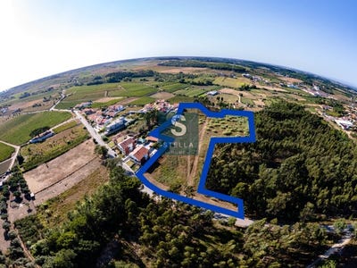 /international/pt/sao-lourenco-do-bairro-aveiro-310101273699/