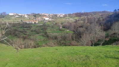 /international/pt/baiao-porto-310108210997/