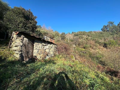 /international/pt/viana-do-castelo-viana-do-castelo-310109016109/