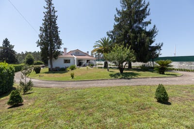 /international/pt/tabua-madeira-310102233267/