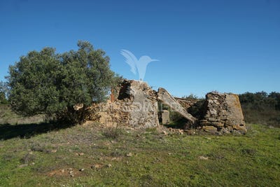 /international/pt/santiago-do-cacem-santa-cruz-e-sao-bartolomeu-da-serra-santiago-do-cacem-setubal-municipality-310097257554/
