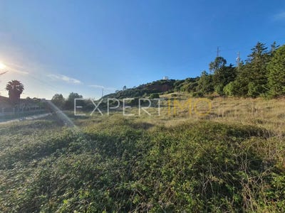 /international/pt/rua-do-outeiro-de-el-rei-leiria-leiria-310100231166/