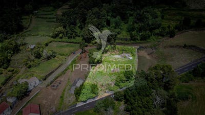 /international/pt/manadas-santa-barbara-velas-azores-310100823104/
