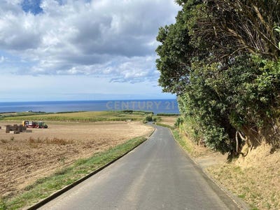 /international/pt/rua-do-moio-lomba-de-sao-pedro-portugal-ilha-de-sao-miguel-azores-310107523133/