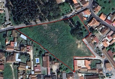 /international/pt/santarem-santarem-310100989585/