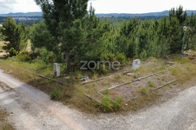 /international/pt/sesimbra-setubal-municipality-310107292802/