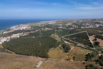 /international/pt/ericeira-lisbon-120092508573/