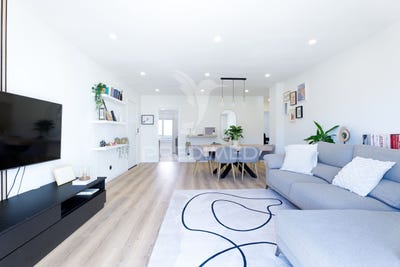 /international/pt/loures-loures-lisbon-310107576904/