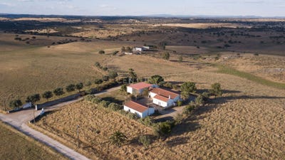 /international/pt/cm8x-xh-mourao-portugal-mourao-lisbon-310108403044/