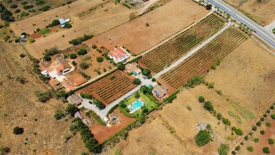 /international/pt/luz-viana-do-castelo-310108000843/